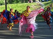 INDIAAN, NATIVE, ABORIGINAL van Roelof Touw thumbnail