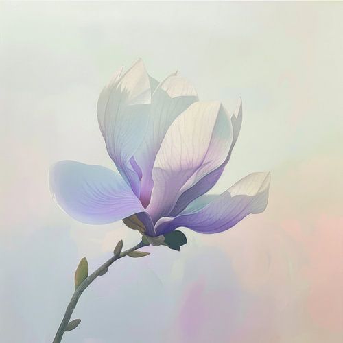 Magnolienblüte