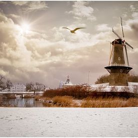 Molen de Hoop van Frans Hollander