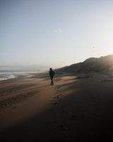 A Lonely Adventure