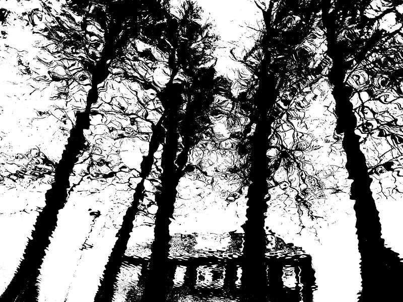 Tree Magic 22 par MoArt (Maurice Heuts)