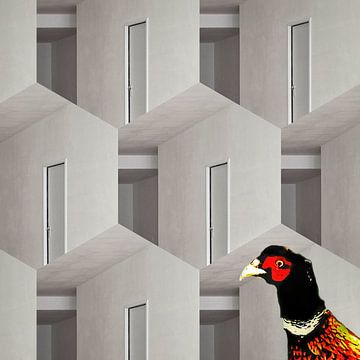 Pheasant for geometric construction
