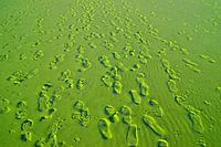 Schoenafdrukken in het zand op Langeoog