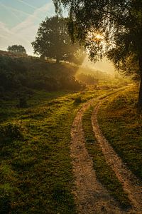 Sonnenaufgang auf der Posbank