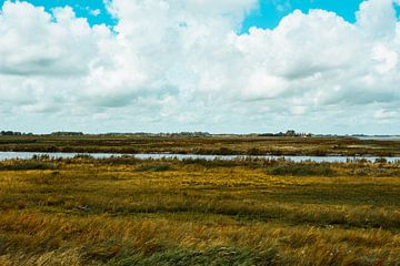 Natuur van Noord-Holland