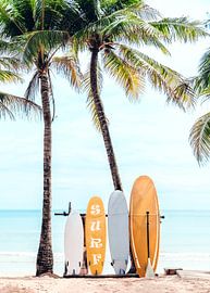 Choose Your Surfboard by Gal Design