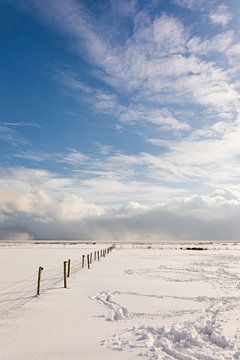Landschap Ameland in de sneeuw