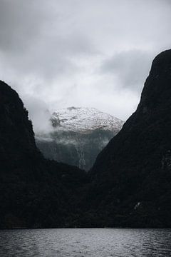 Doubtful Sound: undiscovered beauty by Ken Tempelers