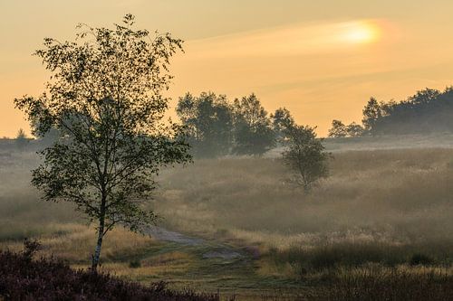 Gouden uur op Het Leesten