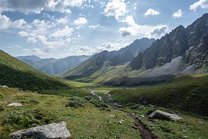 Plaine verte entre les montagnes du Tian Shan sur Mickéle Godderis