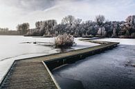 IJs op de Kralingse Plas par Lars Korzelius Aperçu