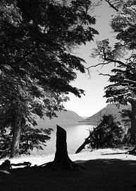 Patagonia Wild Beauty #3 by Rafael Campezato