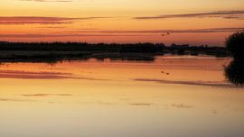 Der Beginn eines schönen Tages im Wormer und Jisperveld von Hans de Waay