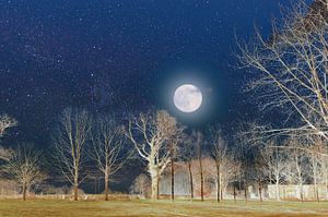 Paysage d'hiver avec une pleine lune sur Corinne Welp