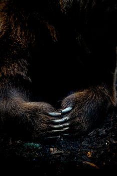 L'emprise de la nature