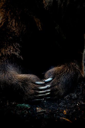 De greep van de natuur