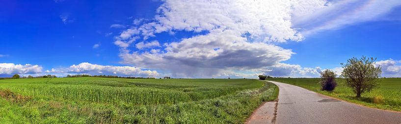 Panorama of a beautiful north german landscape with paths and roads by MPfoto71