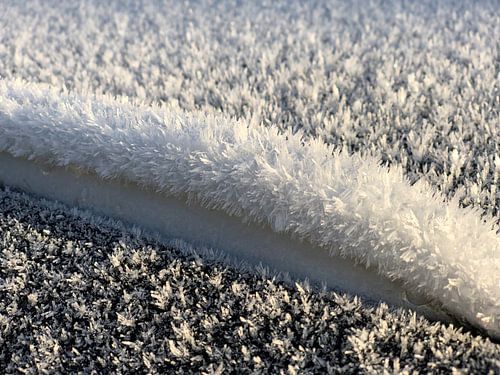 Detail van bevroren dauw