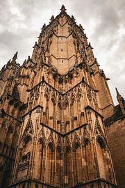 Gotische Details der York Minster in Schwarz-Weiß #1 von Charlotte Hagg
