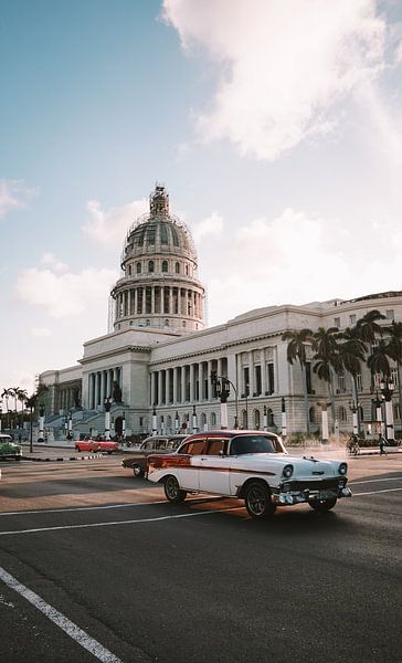 Havana by Hello Pompoyo