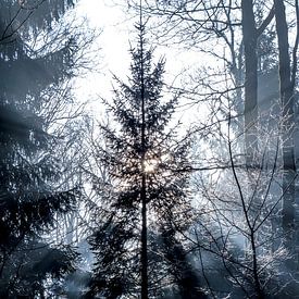 Weihnachtsengel von Emma Jansen