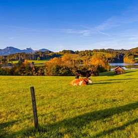 L'Allgäu en automne sur Christina Bauer Photos