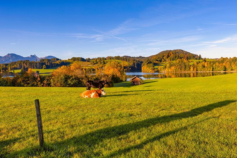 Allgäu autumn idyll by Christina Bauer Photos
