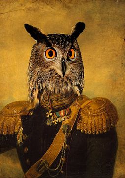 General Owl by Bert Hooijer