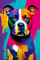 Pit Bull