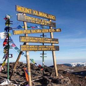 Bord op de top van de Kilimanjaro van Mickéle Godderis