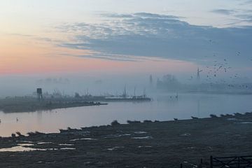 misty morning von ton vogels