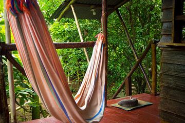 Hammock and cat in the jungle of Bastimentos Island by Michiel Dros