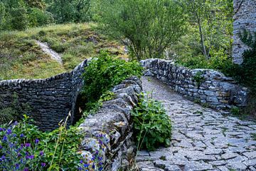 Alte Steinbrücke mit Steinweg | Ardeche von Flatfield