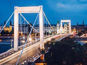 Budapest - Elisabethbrücke von Alexander Voss Miniaturansicht