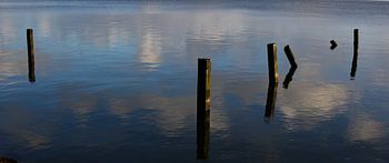 Posts in the Markermeer