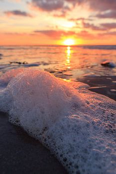 Magical sunset