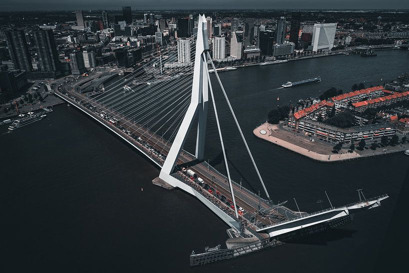rotterdam erasmus bridge is open by vedar cvetanovic