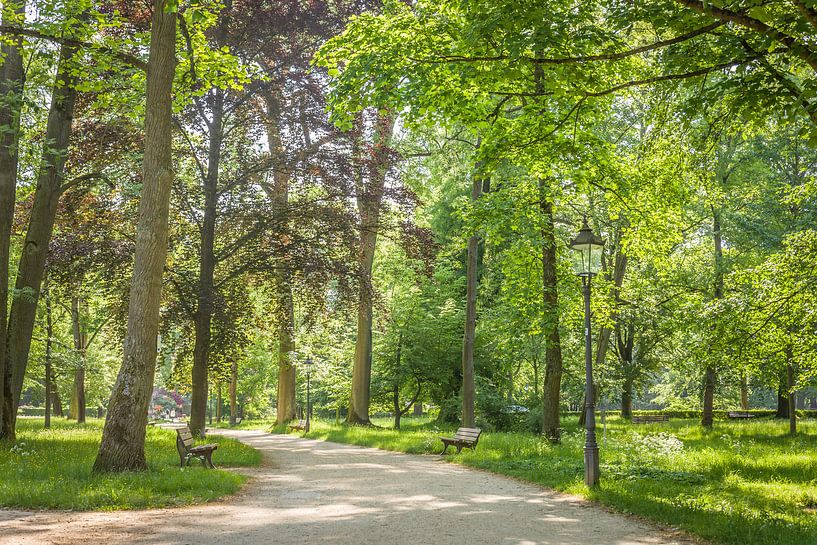 Frühsommer im Kurpark von Bad Homburg vor der Höhe by Christian Müringer