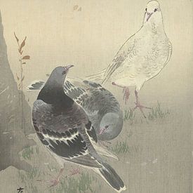 Ohara Koson - Three tame pigeons (edited) by Peter Balan
