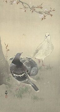 Ohara Koson - Drie tamme duiven (bewerkt) van Peter Balan