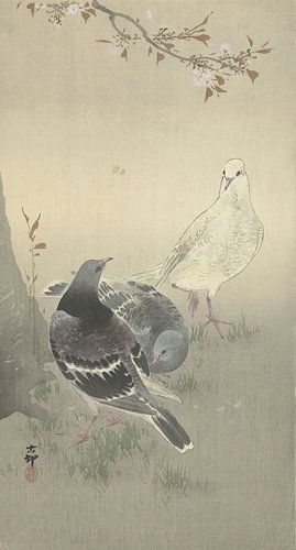 Ohara Koson - Drie tamme duiven (bewerkt)