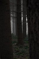 The dark view