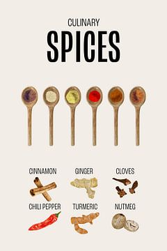 Spices Kitchen Poster by Marian Nieuwenhuis