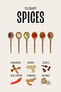 Spices Kitchen Poster by Marian Nieuwenhuis thumbnail