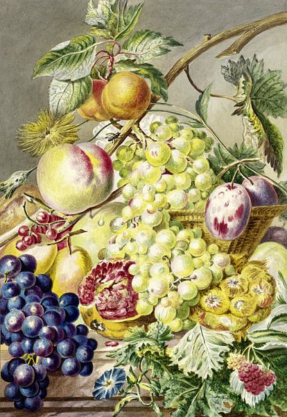 Obst, Cornelis Ploos van Amstel (1777) von Atelier Liesjes