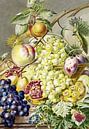 Obst, Cornelis Ploos van Amstel (1777) von Atelier Liesjes Miniaturansicht