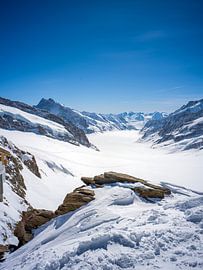 View of the Aletsch Glacier from the Jungfraujoch plateau by t.ART
