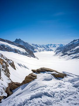 Uitzicht op de Aletschgletsjer vanaf het Jungfraujoch plateau van t.ART