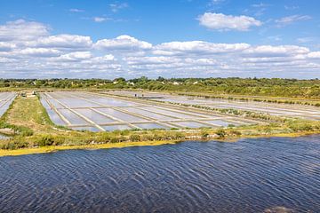 Marais de salants bei Île de Noirmoutier