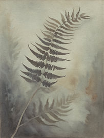 Botanische Varen in Aardetinten – Natuurlijke Wanddecoratie van Hilde Remerie – Digitale Kunst, Bauhaus & Fotografie